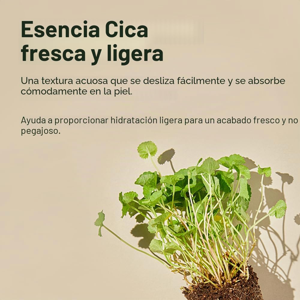 Mixsoon Soondy Esencia de Centella Asiática - Suavizante, Calmante e Hidratante